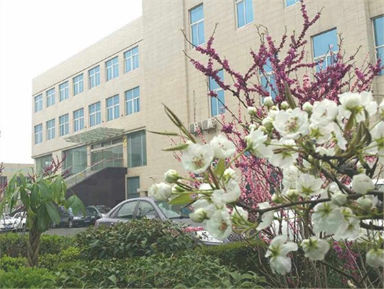 点点登陆网址公司一角