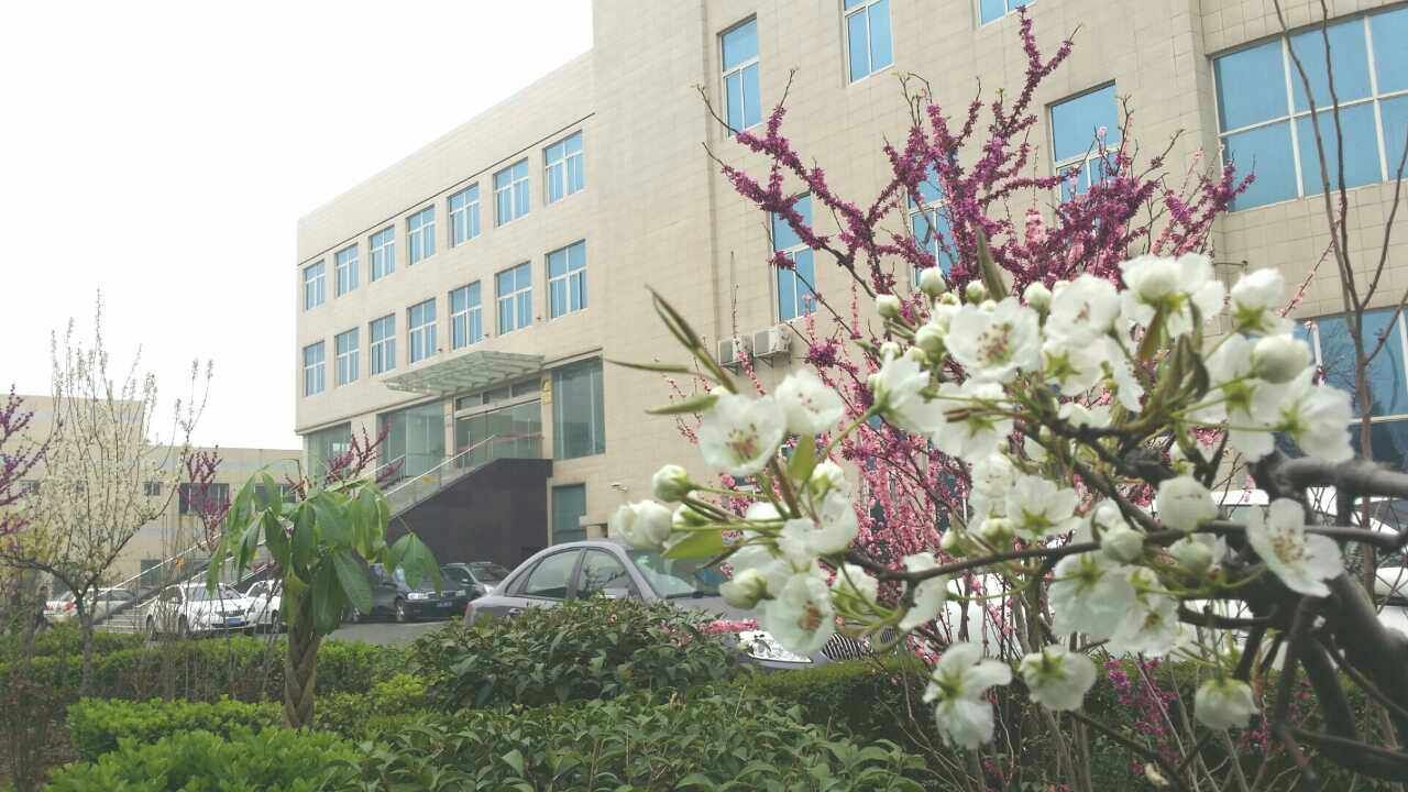 为什么银马是知名的砌块砖机厂家 为什么银马是知名的砌块砖机厂家