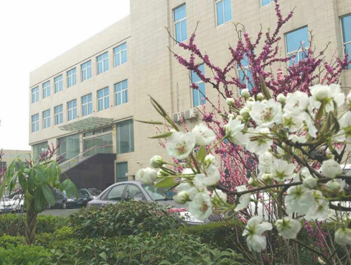 点点登陆网址公司一角